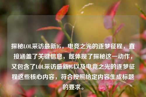 探秘LOL采访最新IG，电竞之光的逐梦征程，直接涵盖了关键信息，既体现了探秘这一动作，又包含了LOL采访最新IG以及电竞之光的逐梦征程这些核心内容，符合按照给定内容生成标题的要求。