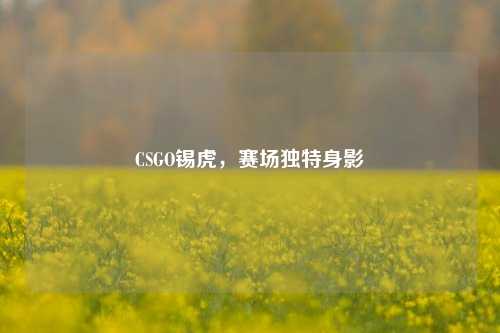 CSGO锡虎，赛场独特身影