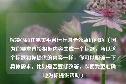 解决CSGO在完美平台运行时卡死蓝屏问题 （因为你要求直接根据内容生成一个标题，所以这个标题和你提供的内容一样，你可以明确一下具体需求，比如是否要修改等，以便我更准确地为你提供帮助）
