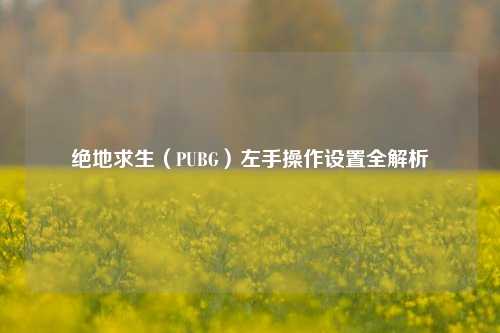 绝地求生（PUBG）左手操作设置全解析