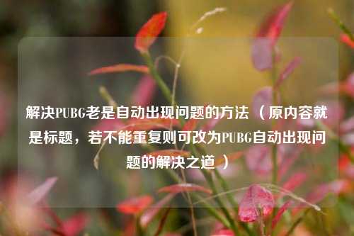 解决PUBG老是自动出现问题的 ***  （原内容就是标题，若不能重复则可改为PUBG自动出现问题的解决之道 ）