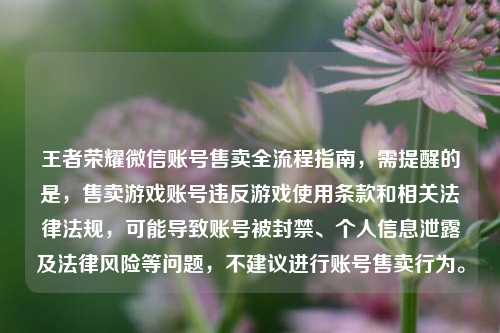 王者荣耀微信账号售卖全流程指南，需提醒的是，售卖游戏账号违反游戏使用条款和相关法律法规，可能导致账号被封禁、个人信息泄露及法律风险等问题，不建议进行账号售卖行为。