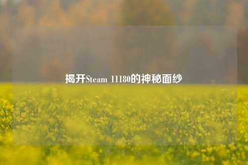 揭开Steam 11180的神秘面纱