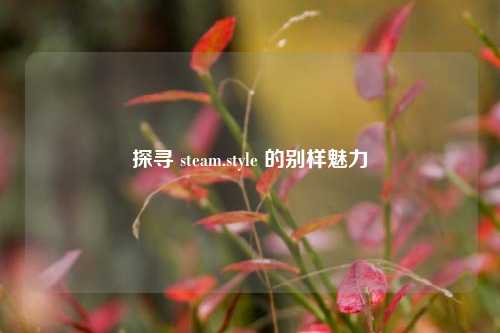 探寻 steam.style 的别样魅力