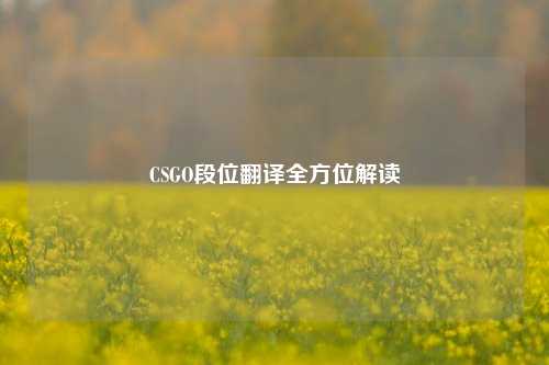 CSGO段位翻译全方位解读