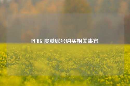 PUBG 皮肤账号购买相关事宜