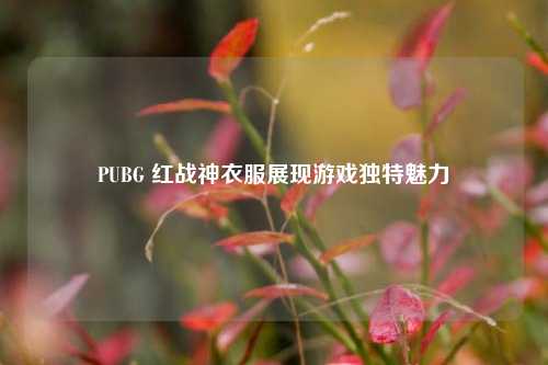 PUBG 红战神衣服展现游戏独特魅力