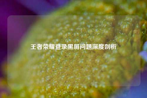 王者荣耀登录黑屏问题深度剖析