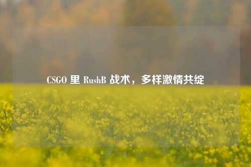CSGO 里 RushB 战术，多样 *** 共绽