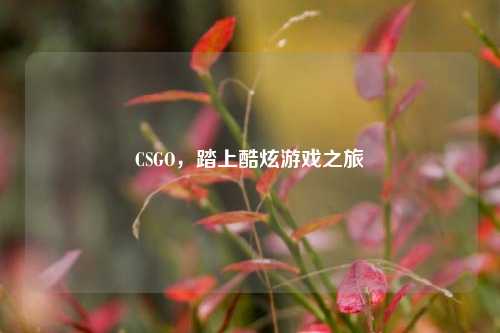 CSGO，踏上酷炫游戏之旅