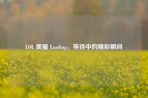 LOL 美服 Loading，等待中的精彩瞬间