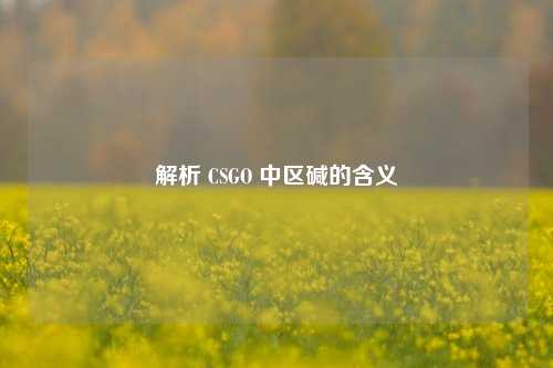 解析 CSGO 中区碱的含义