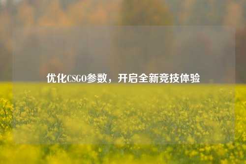 优化CSGO参数，开启全新竞技体验