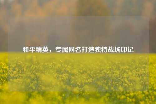 和平精英，专属网名打造独特战场印记
