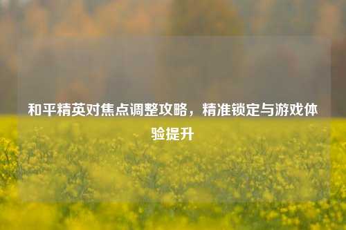 和平精英对焦点调整攻略，精准锁定与游戏体验提升