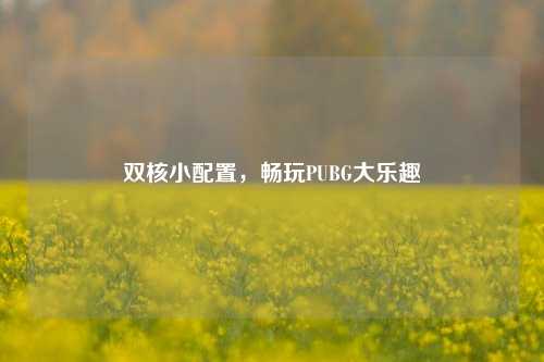 双核小配置，畅玩PUBG大乐趣