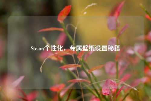 Steam个性化，专属壁纸设置秘籍